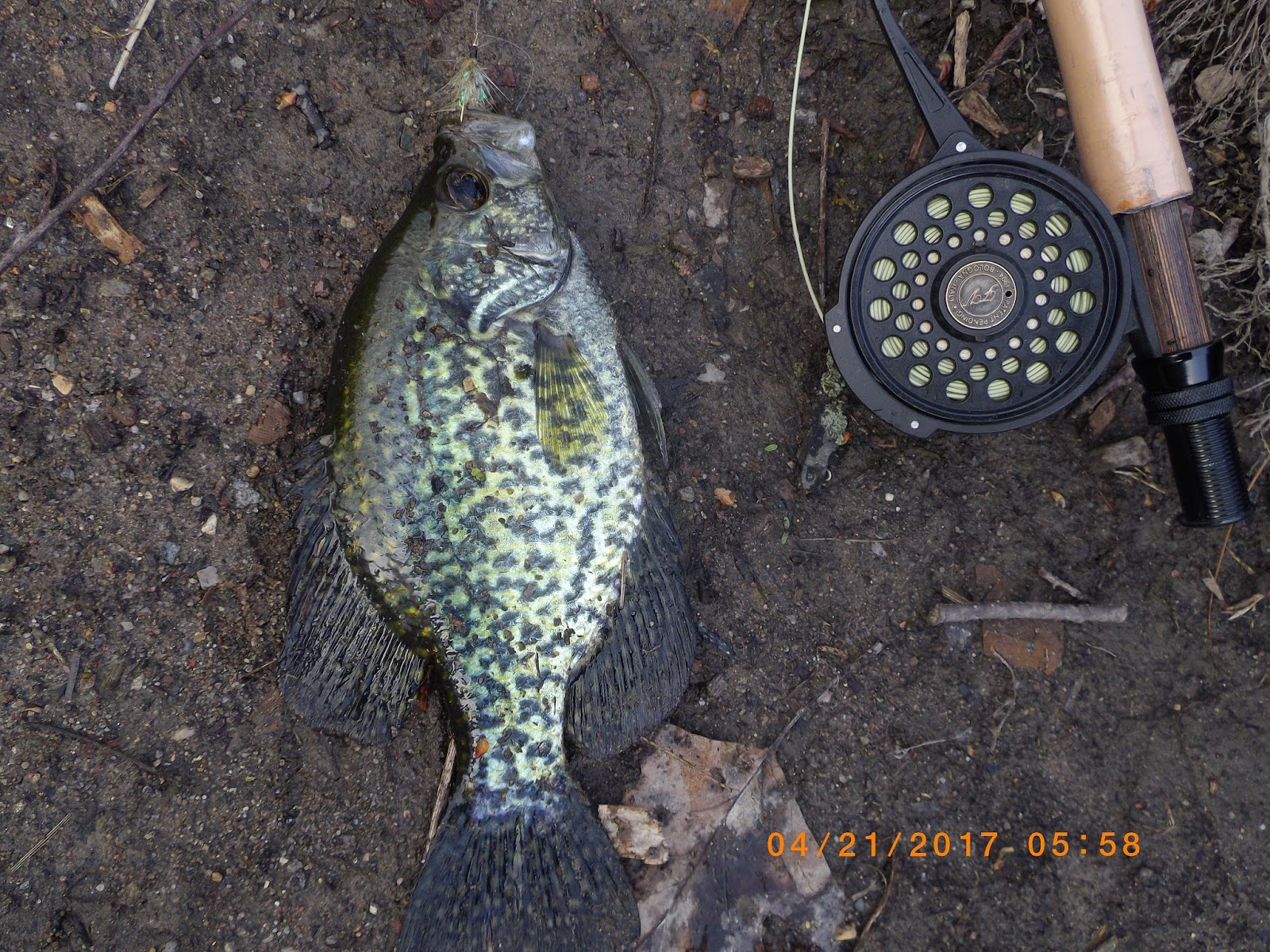 The Great Lakes of NYC Fly Fishing in Prospect Park for crappie and