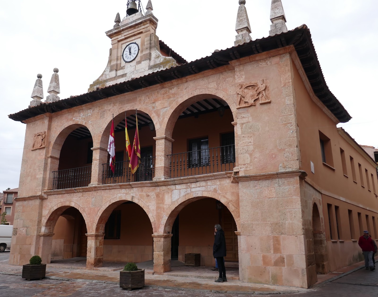 Ayllón viajes con mi perro