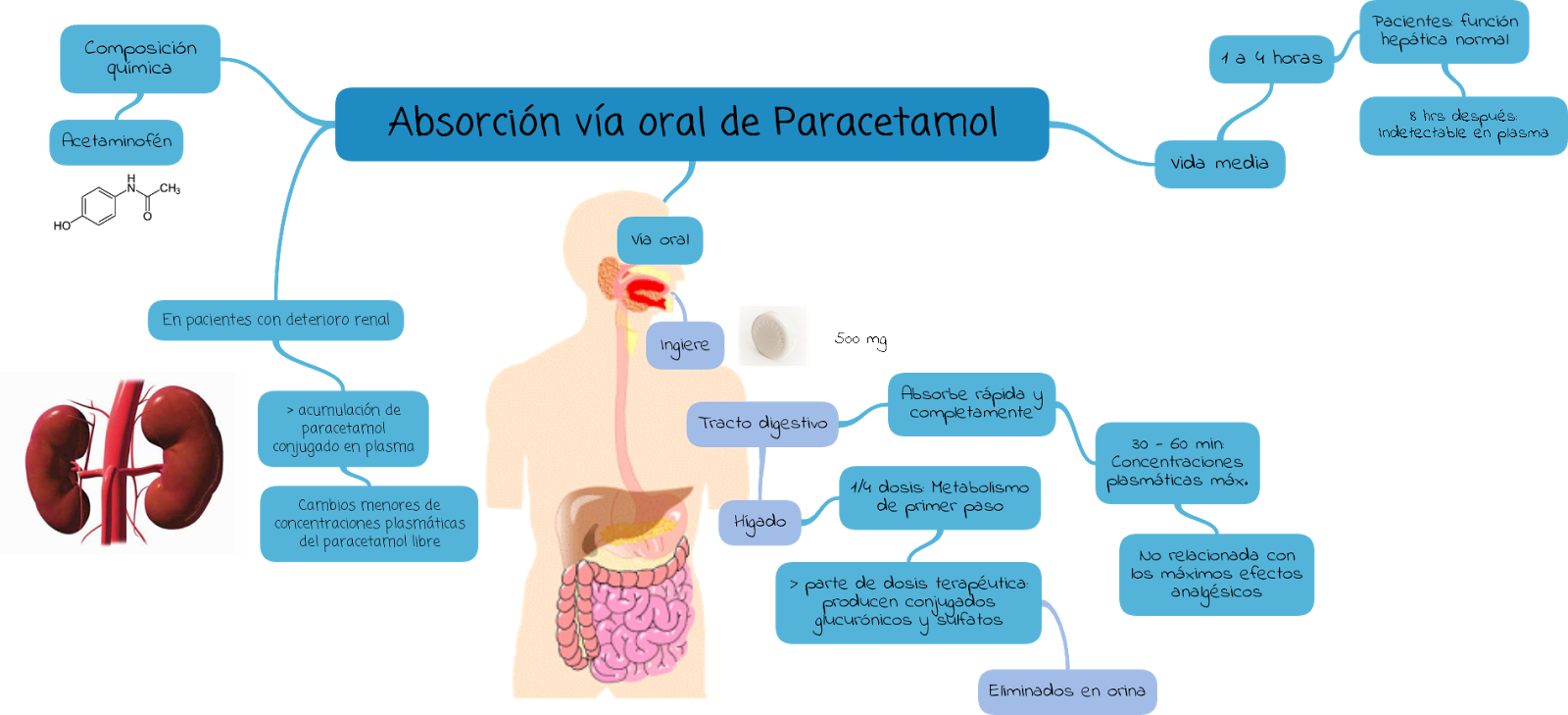 FARMACOLOGÍA I FARMACOCINÉTICA VÍA ORAL PARACETAMOL