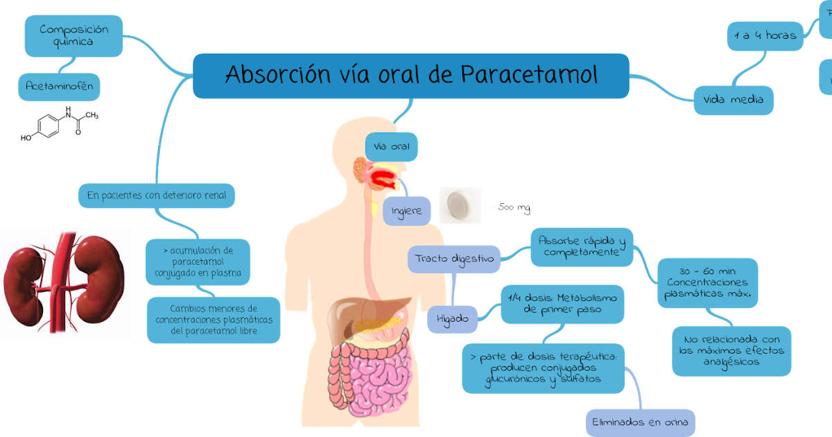 FARMACOLOGÍA I FARMACOCINÉTICA VÍA ORAL PARACETAMOL