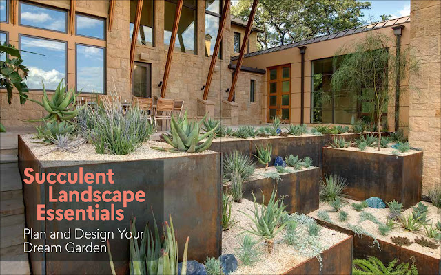 Succulent Design Archives | Succulent Design in Gardens, Containers, More