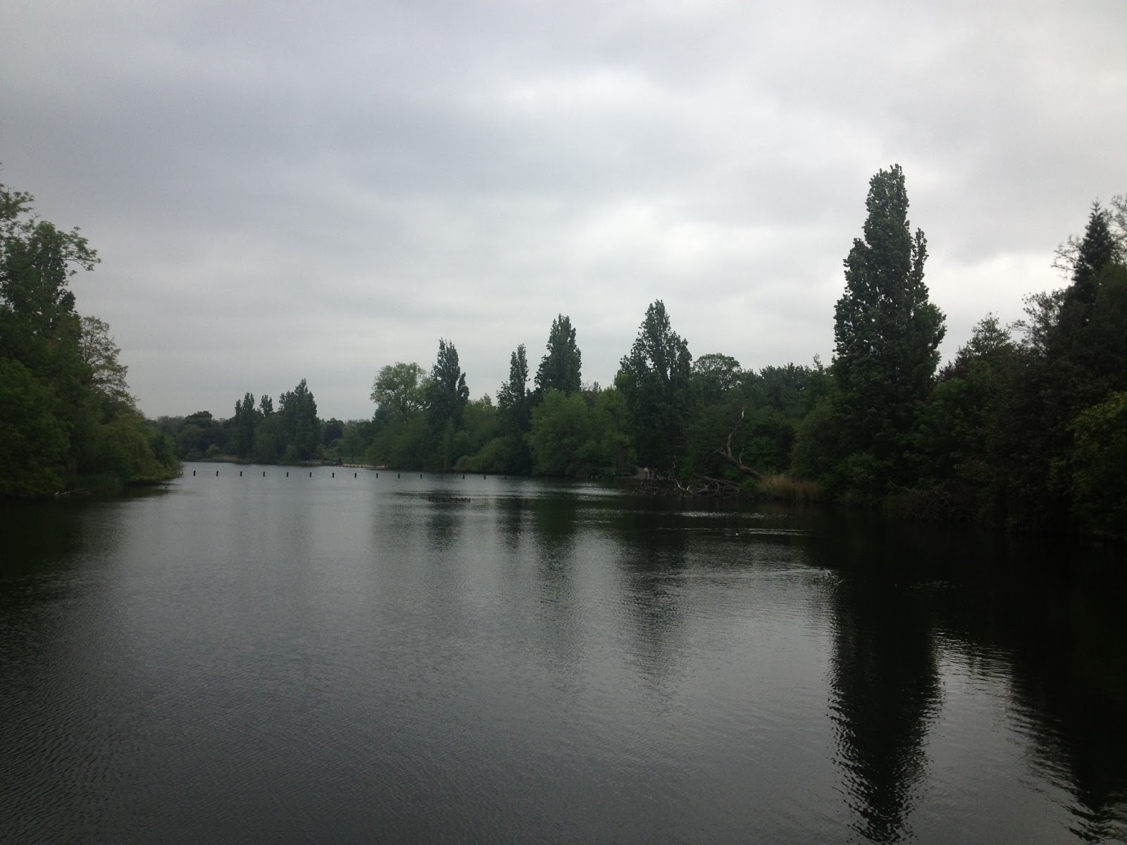 The Crazy Ride London Days 13 &14 Harrods, Hyde Park, and The Audience