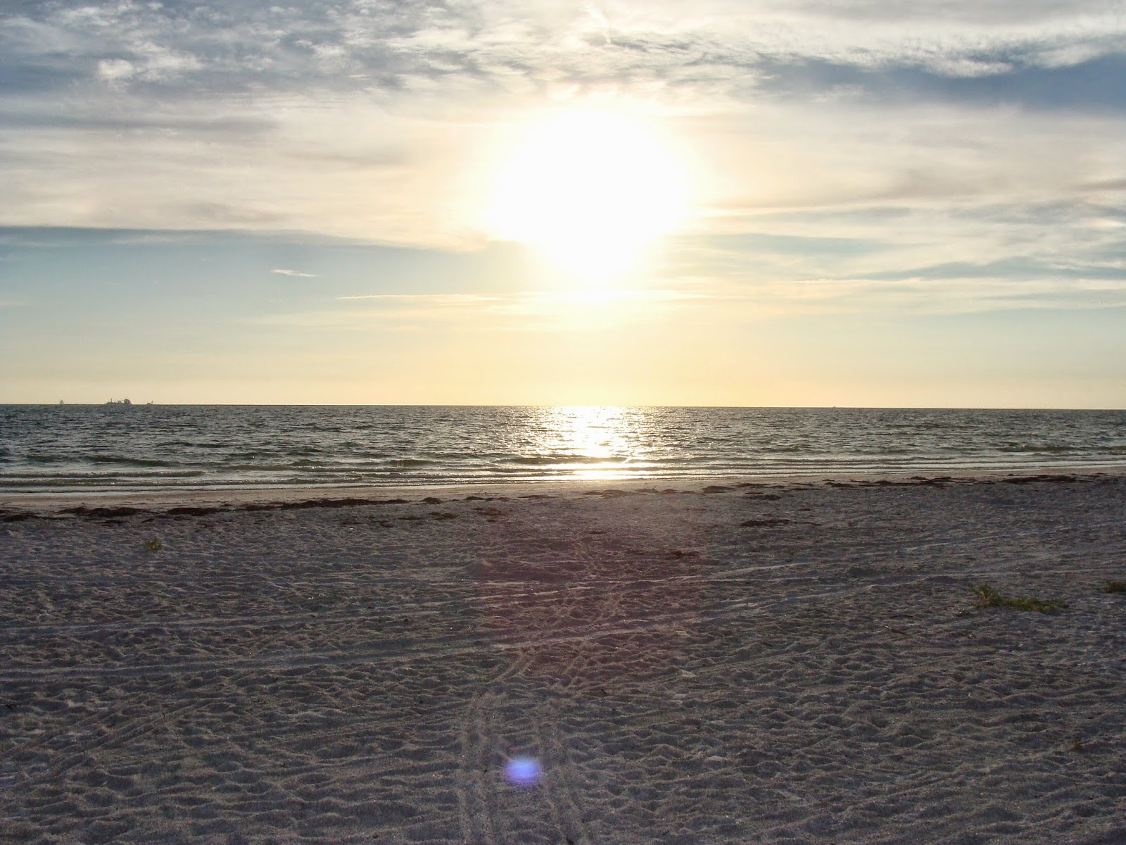 THE SIMMONS SAGA Camping near St Petersburg, Florida