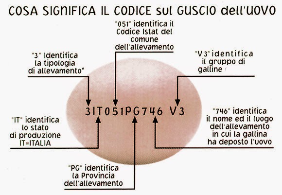 sei l'uovo per me, fatto apposta per me!