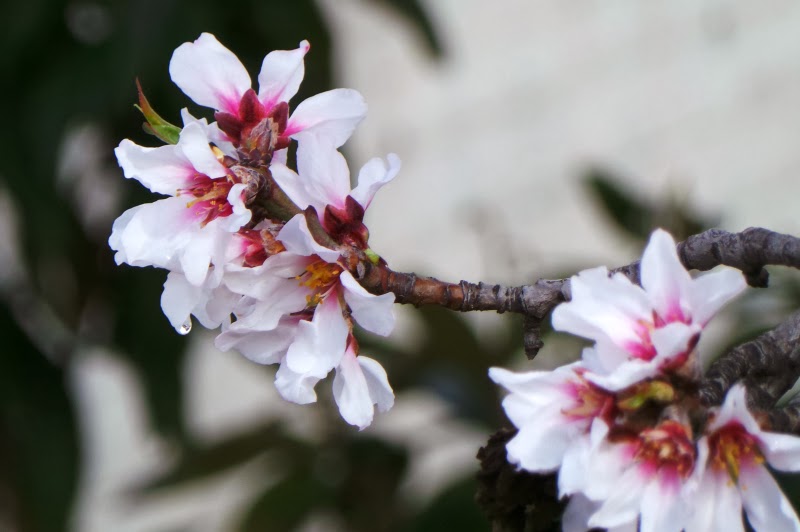 I ♥ Cyprus 10 reasons why