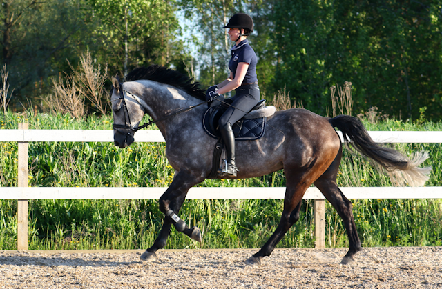 Kuuma musta karkea seksi