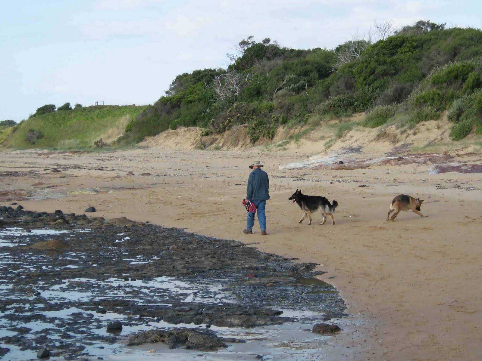 Robin's Double Life Dogfriendly beaches on Phillip Island attract