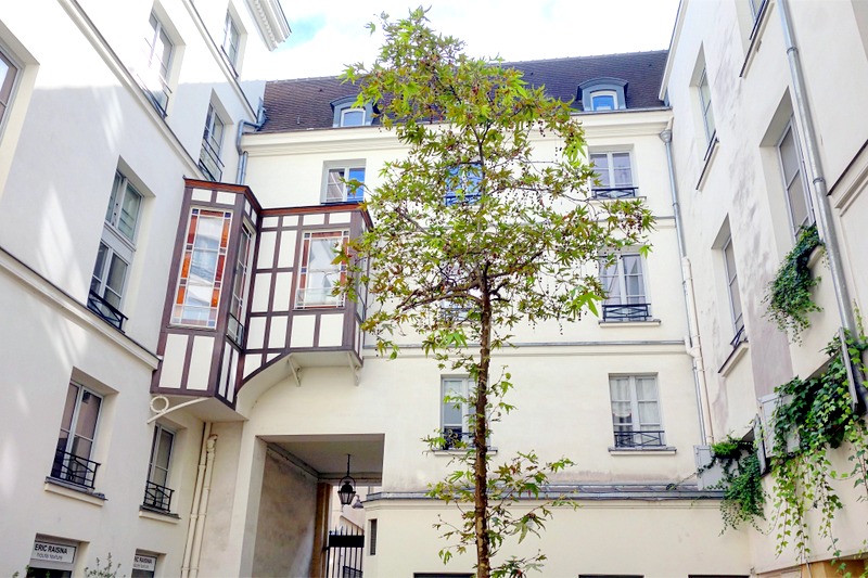 Paris Passage Dauphine, échappée verdoyante à SaintGermaindesPrés