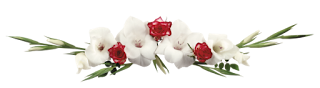 png%2Bayiracsarkac%2Bflatcastbiz%2Bdert%2Bzengini%2B%2528249%2529.png