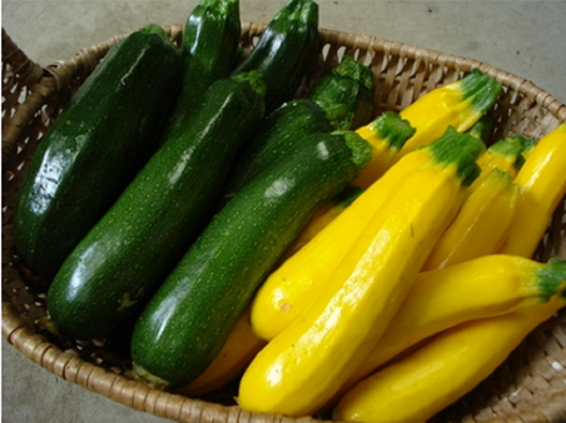 Nhấn vào ảnh để phóng to Hình ảnh có liên quan