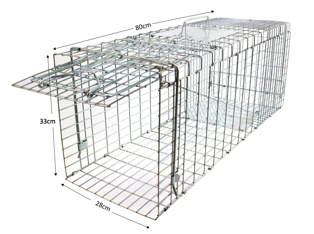 What is a cat trap and how does it work? Traps For Cats and Foxes