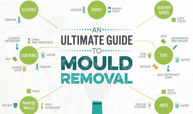Image: An Ultimate Guide to Mould Removal