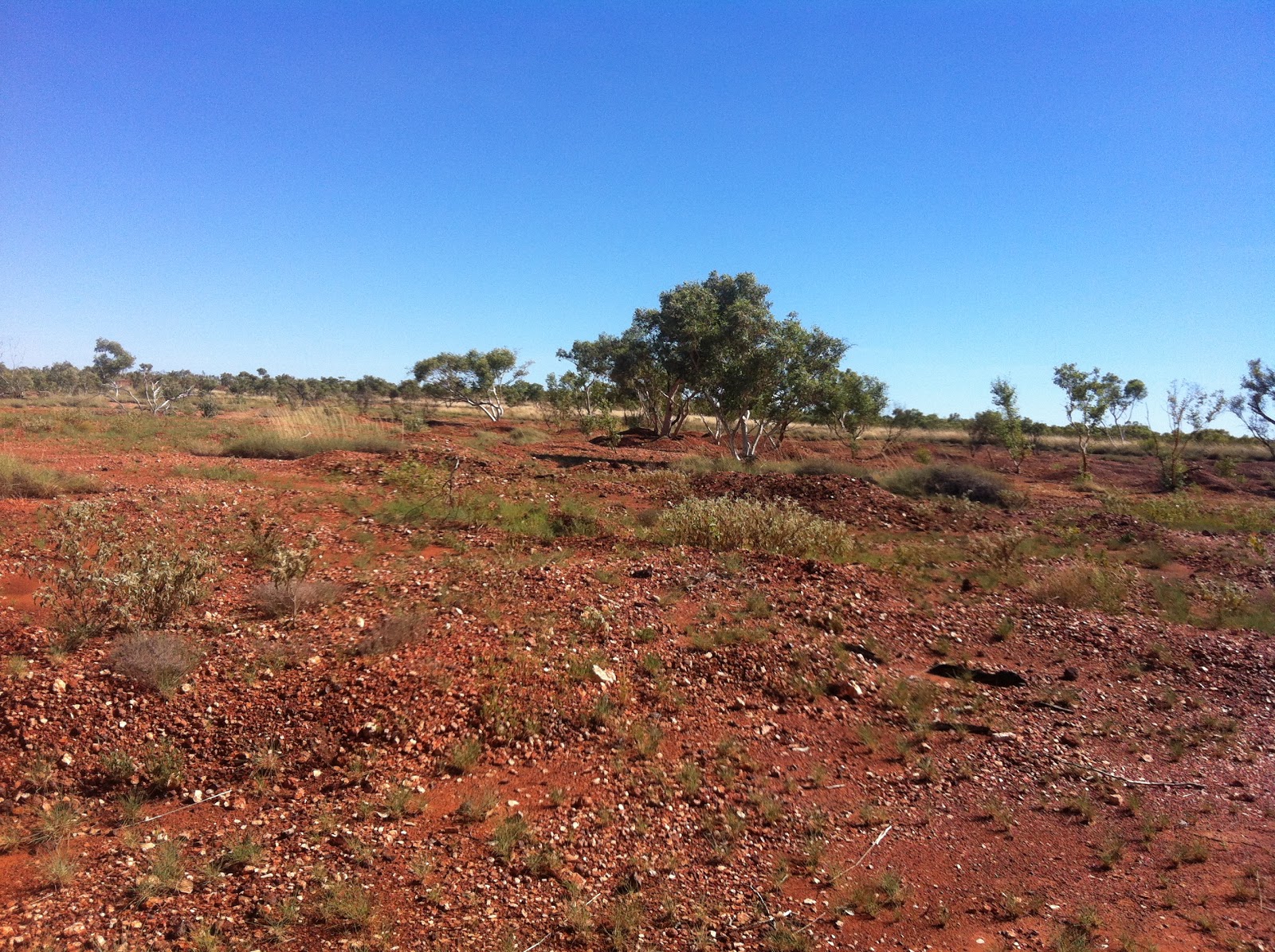 Living, Nursing, Studying and Raising Kids in Remote Australia