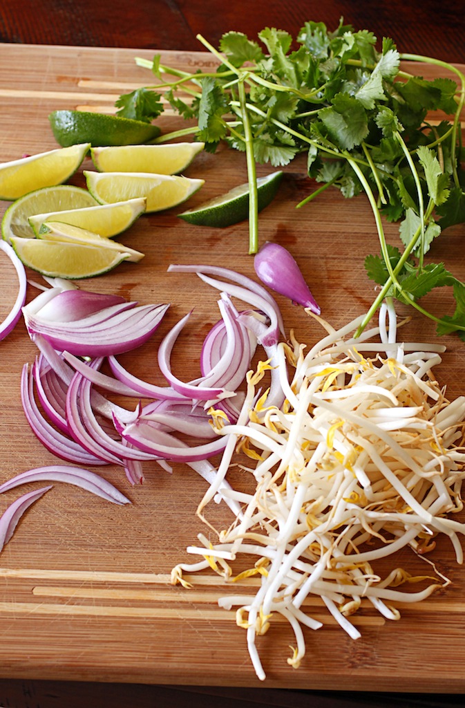 There's a Newf in My Soup! Bon Appetit Cook the Cover Chicken Khao Soi