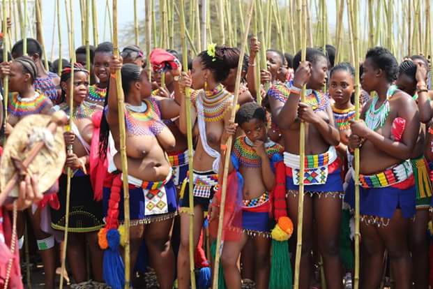 Over 45, 000 Zulu maidens successfully went through virginity testing in th...
