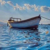 fish,fishing,earn,amazing