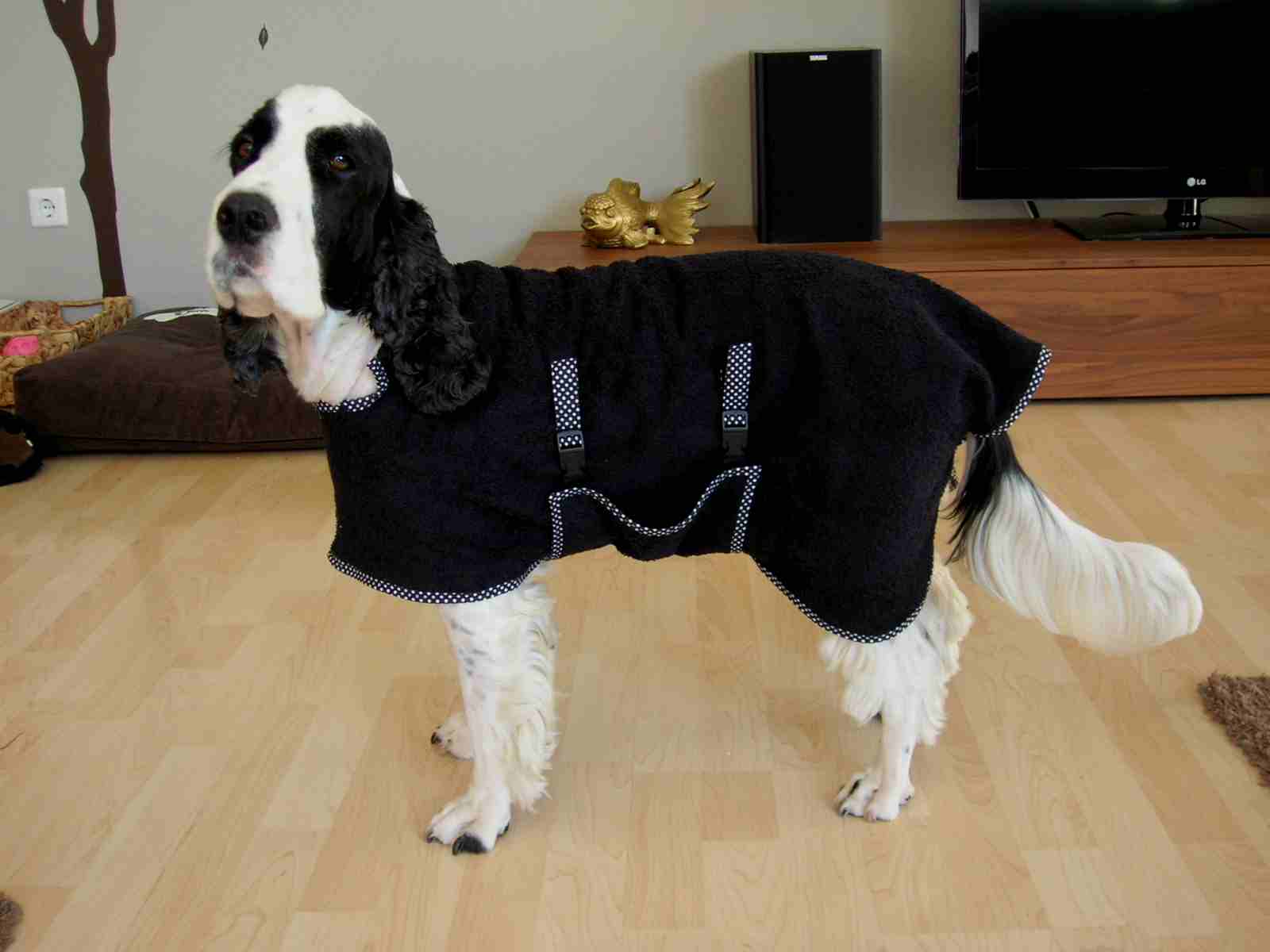 Fliegenpilzle Bademantel für den Hund!