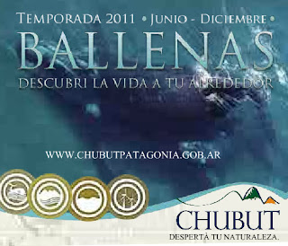 Avistaje de Ballenas promocionado por Chubut en el Mundo