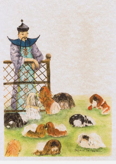 В императорском саду живет собака 5. Собака китайских императоров Пекинес. Пекинесы в древнем Китае. Пикинемы и китайский Император. Собаки в древнем Китае.