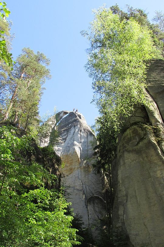 Dzban (czes. Džbán). Dzban (czes. Džbán).