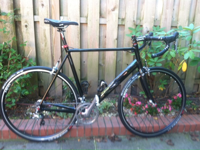 salsa warbird craigslist