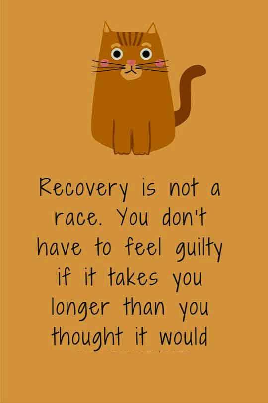 50 Best Get Well Soon Quotes Images Messages To Share | Quote Ideas