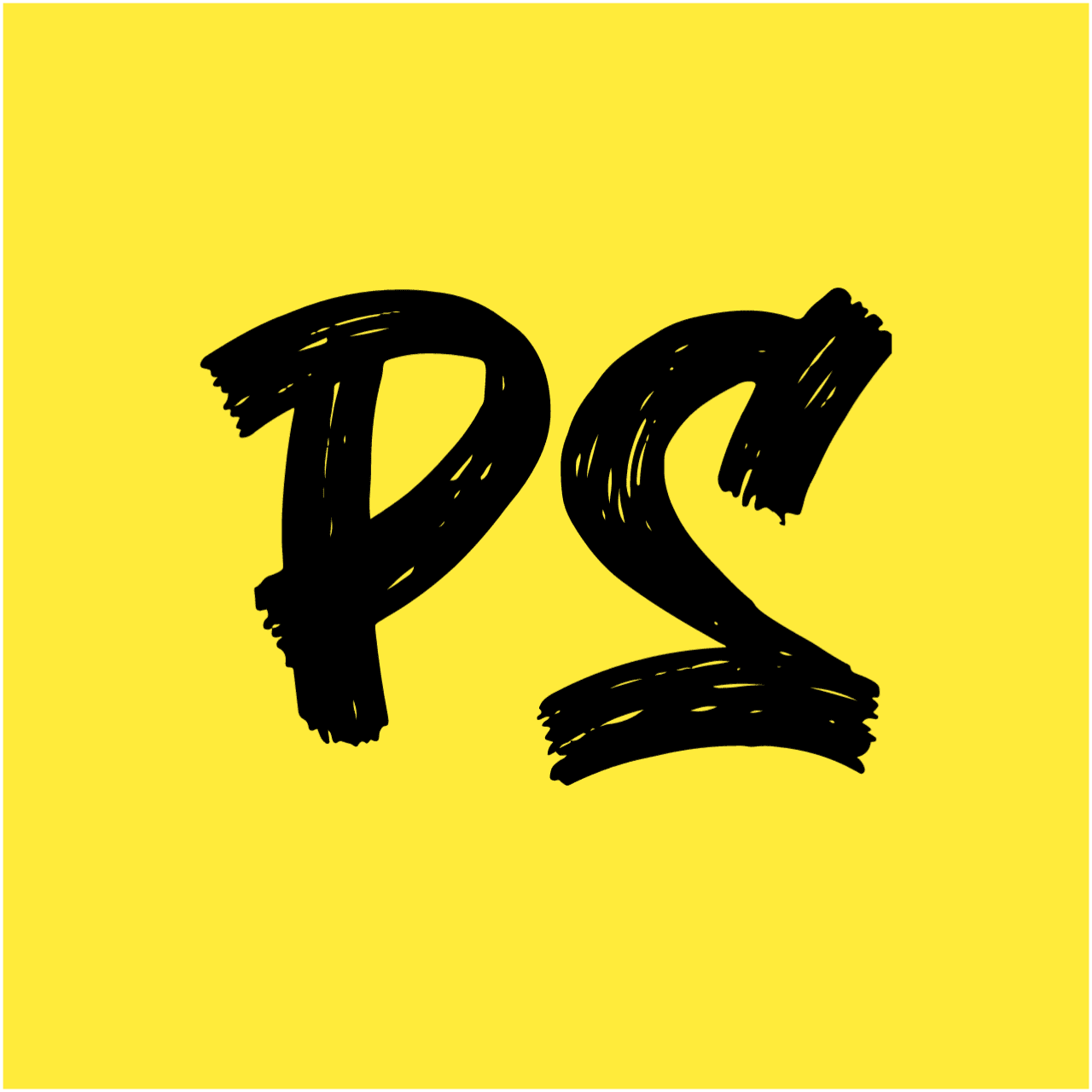 About Paansii About Paansii