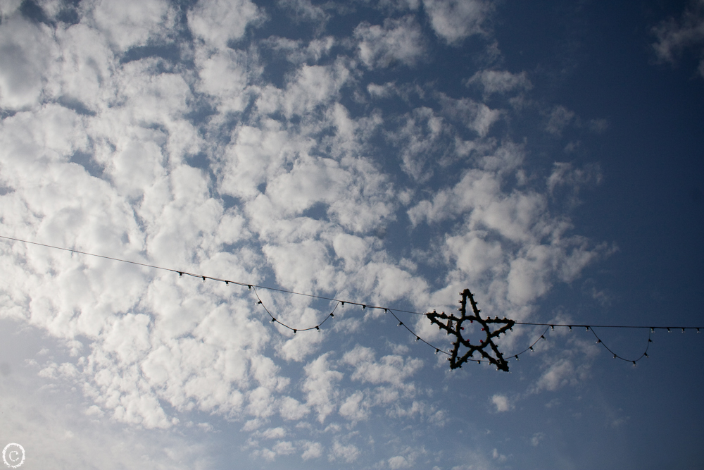 les coteries étoile du berger?