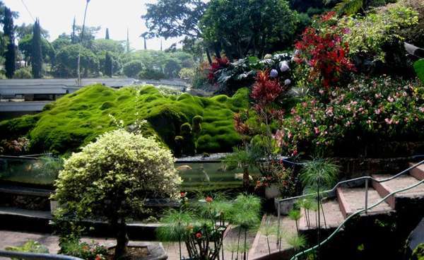 Taman Bunga Selecta Kota Batu Jawa Timur wisata kuliner