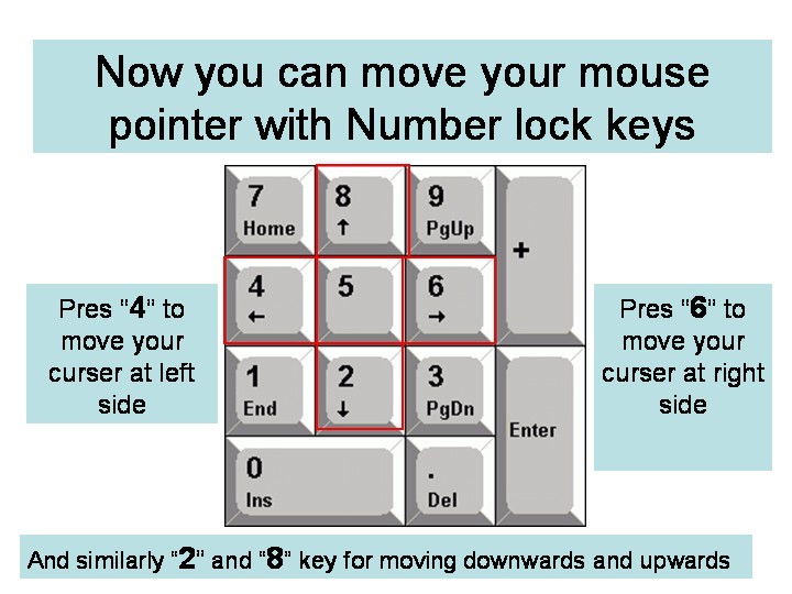 AJORBAHMAN'S COLLECTION What to do when your Mouse doesn't work
