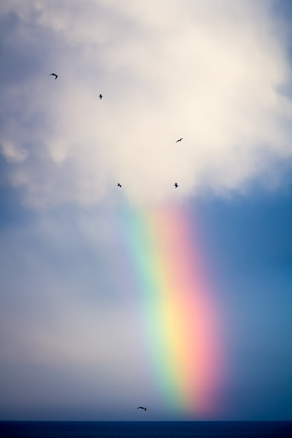 Fotografiando bajo la lluvia con el arco iris