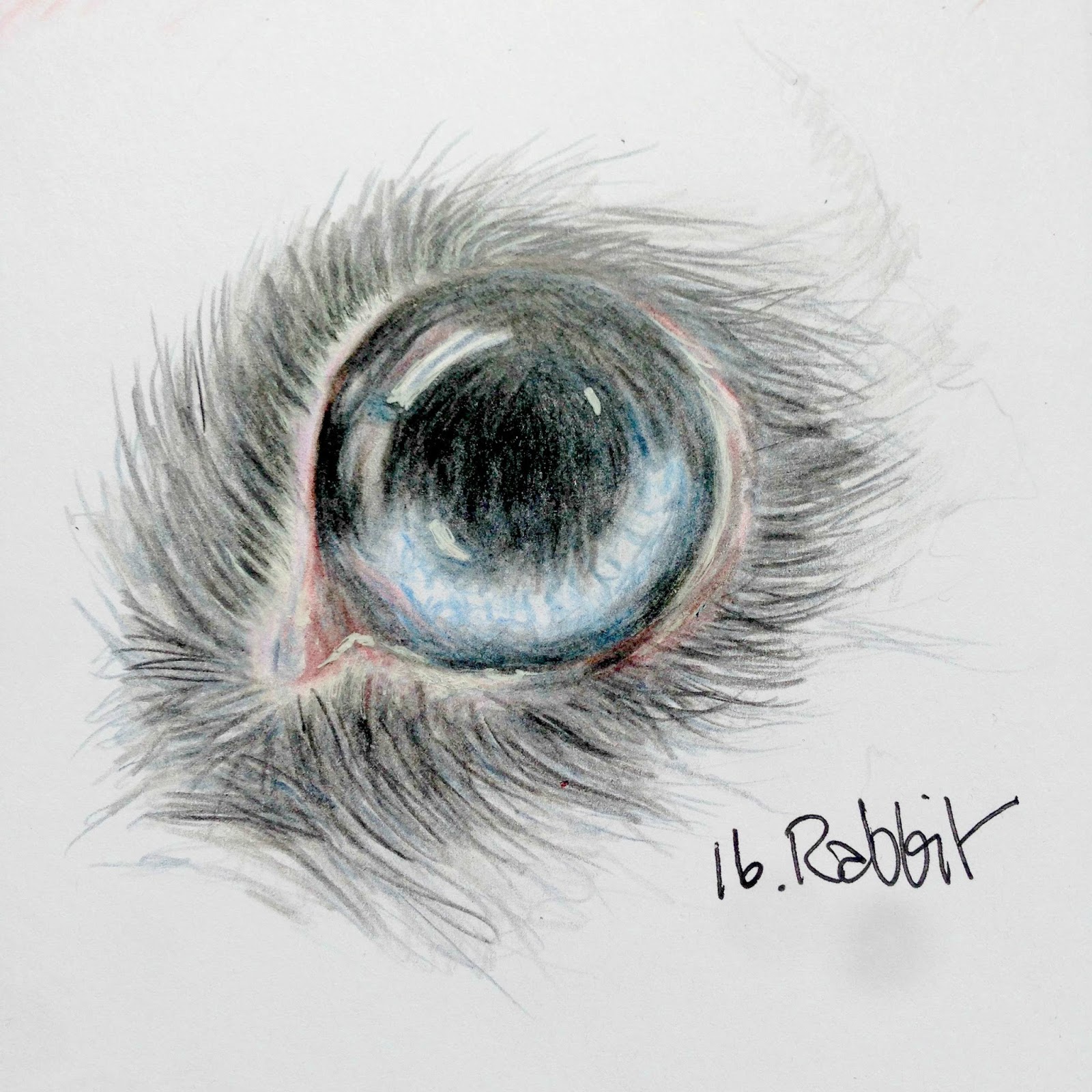 Owls For Doodles Lessons Tes Teach