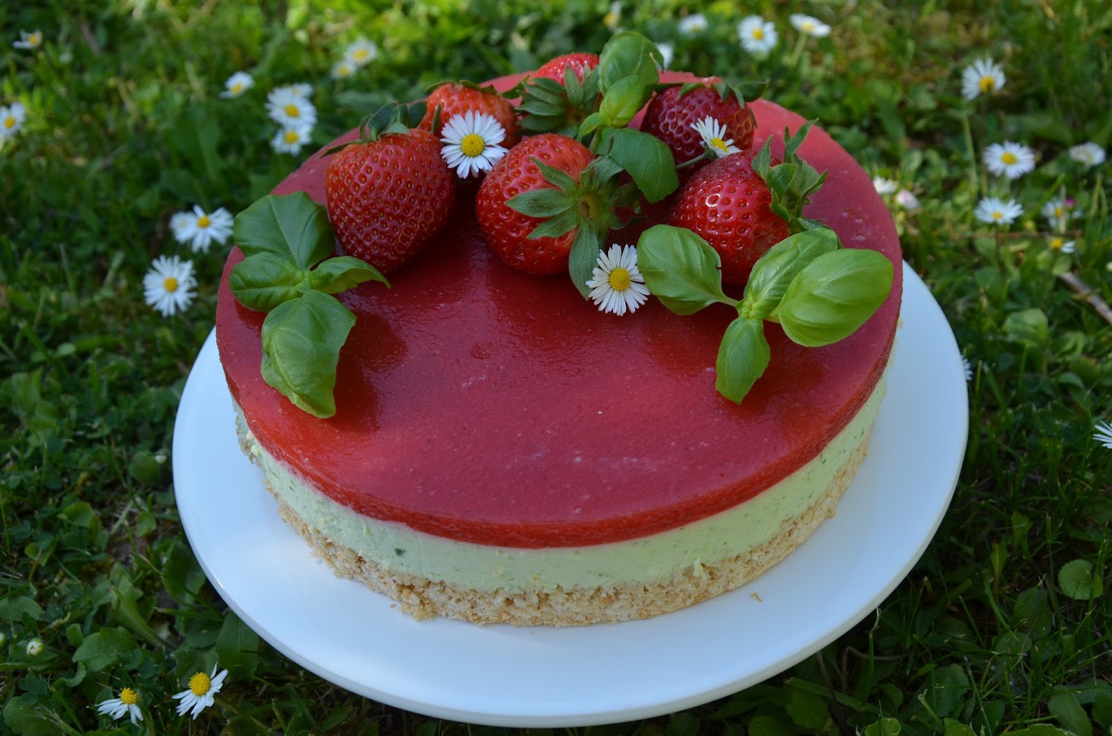 Erdbeer-Basilikum-Cheesecake ohne Backen - Rezeptra - Food and More