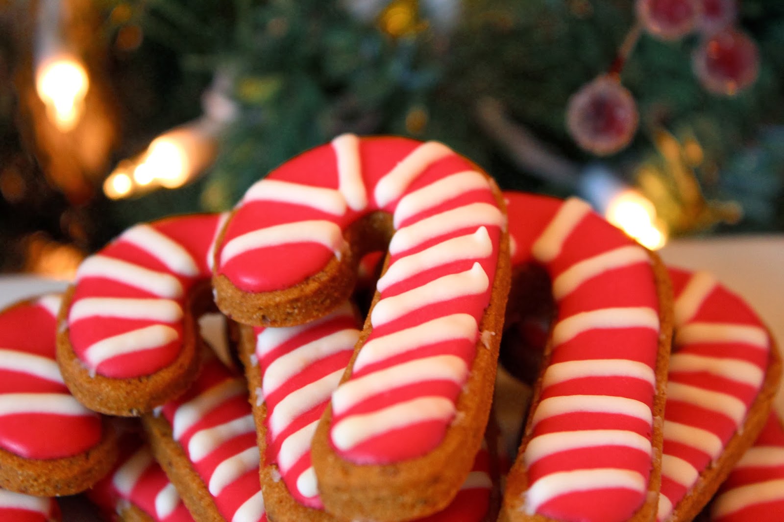 It's TIME! Christmas Dog Treats are here!! - Treat Dreams&hellip;are made of