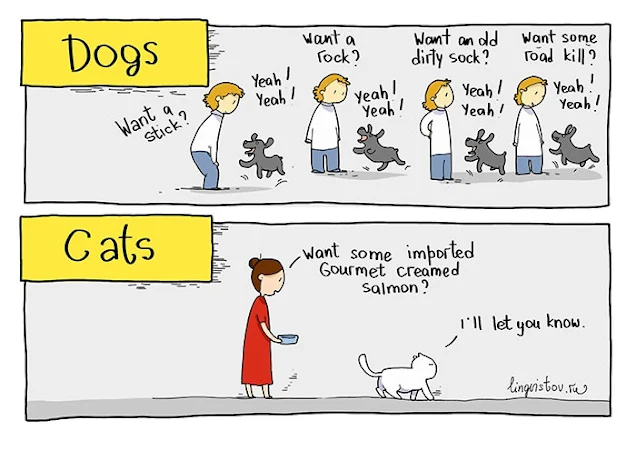 imagine desenata despre cum si ce fac cainii si o imagine desenata despre relatia pisicilor cu oamenii si oamenii