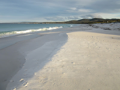 Playa de St. Helens, en Tasmania Playa de St. Helens, en Tasmania