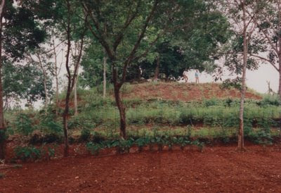 Candi Rajegwesi Di Kabupaten Ciamis - Cipaku Darmaraja