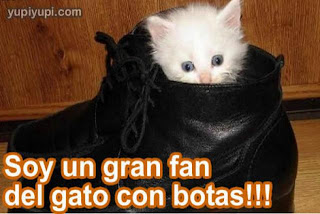 Imagenes de animales tiernas y chistosas