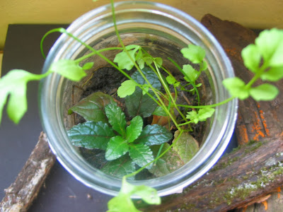 Learning in Place: November 2013