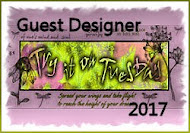 Gast Designer Februari 2017: