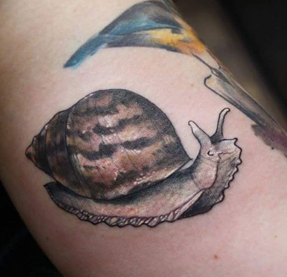 Wildlife Tattoos