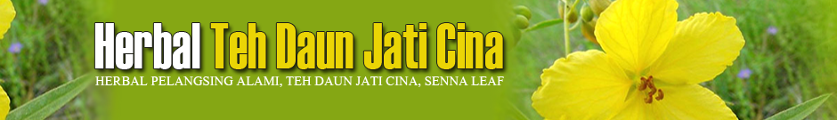 Daun Jati Cina Semarang | Teh Pelangsing Alami