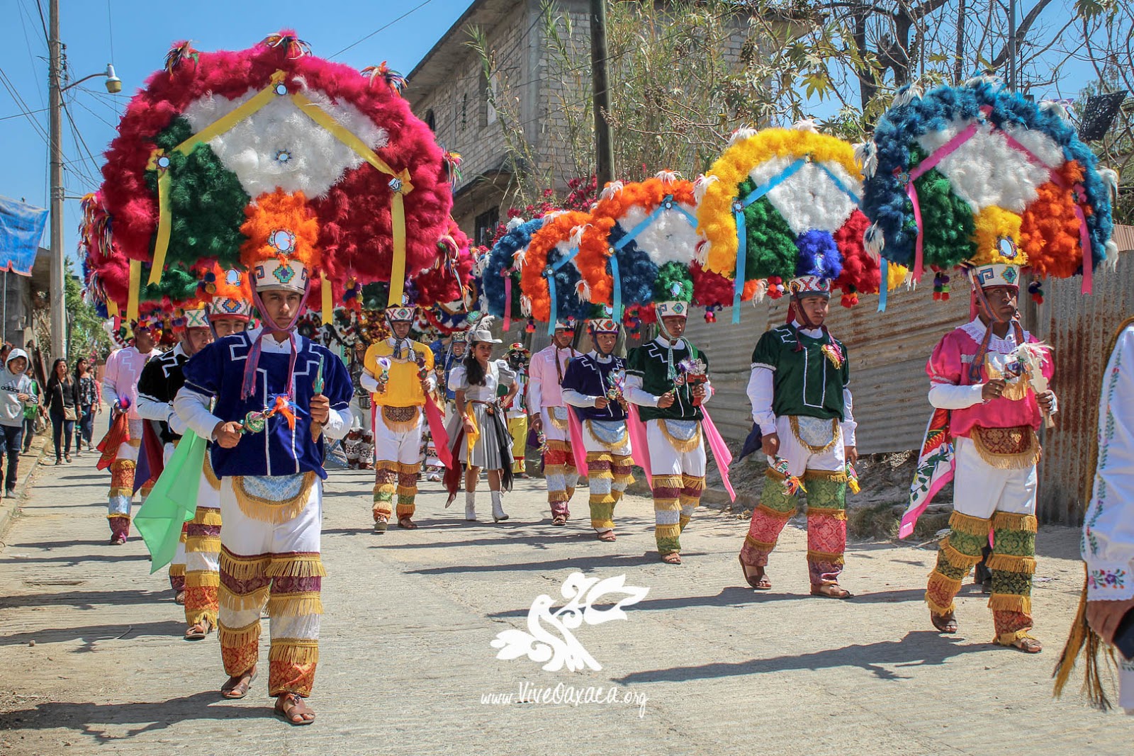 Encuentro de Danza de la Pluma 2019 en Santa María Atzompa, Oax Vive Oaxaca Encuentro de Danza de la Pluma 2019 en Santa María Atzompa, Oax Vive Oaxaca