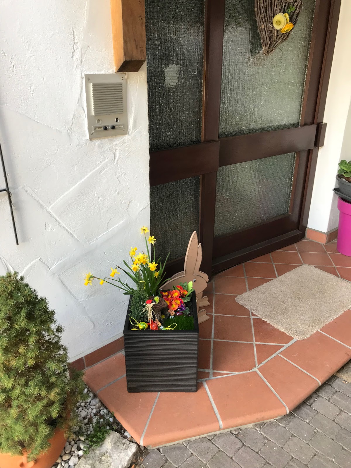 Pflanzkübel Vor Der Haustür Leoniduboes