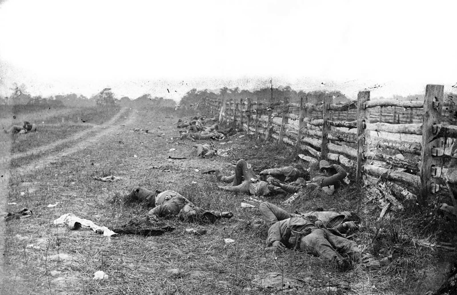 Confederate dead lie strewn near a fence on the Hagerstown road, after the Battle of Antietam, in Maryland, in September of 1862.