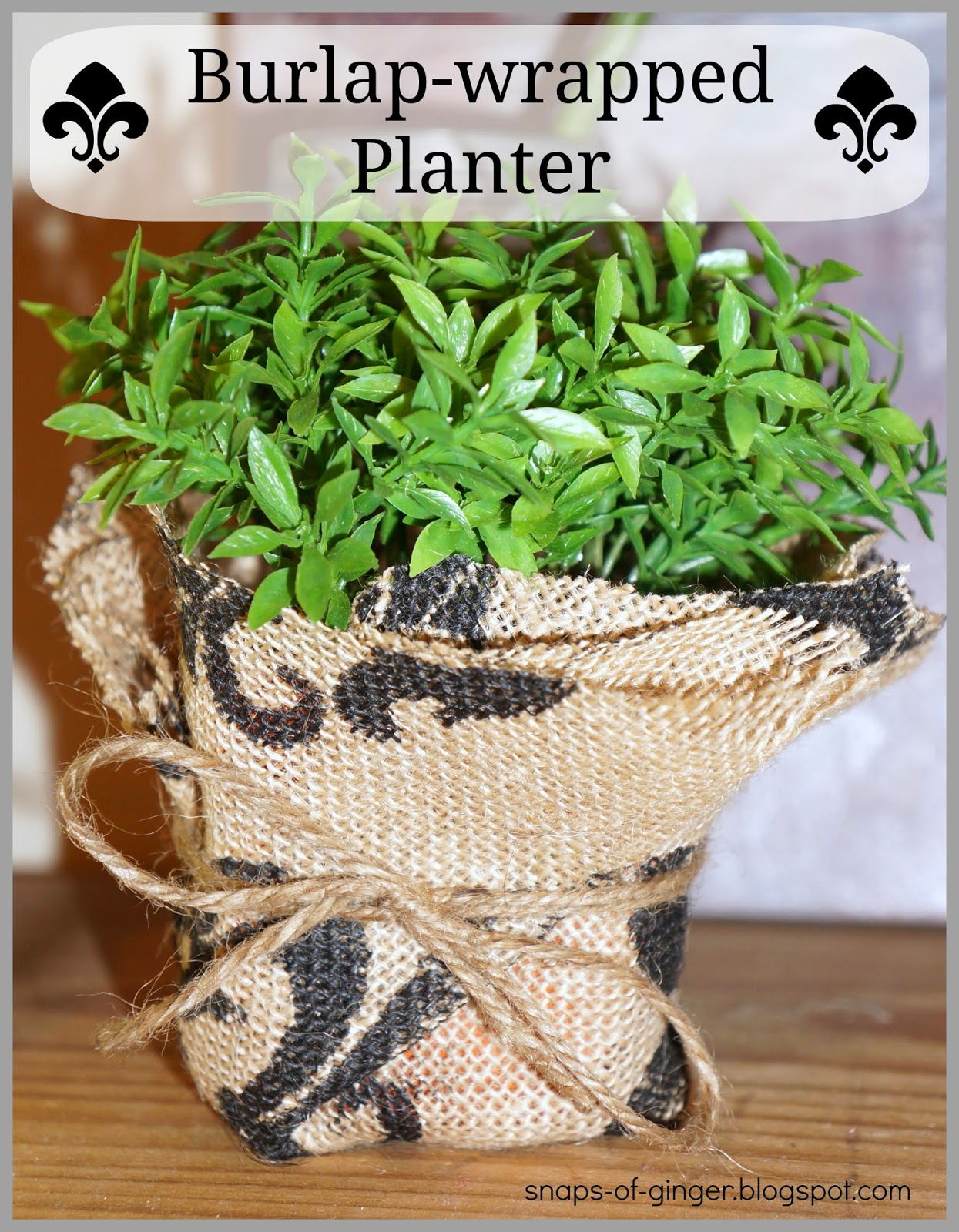 Snaps of Ginger BurlapWrapped Planter