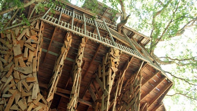 tree-house-3