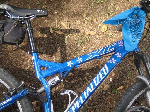 free mountain bike stickers