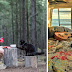 A Guy Quit His Job And Sold Everything 3.5 Years Ago To Travel With His Cat Willow In A Campervan