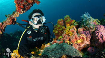 Tour de Buceo